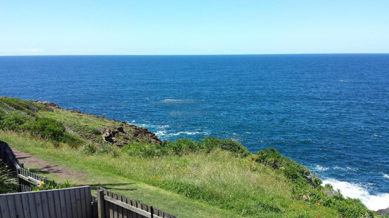 Sea Whispers Bed & Breakfast Kiama Exterior foto