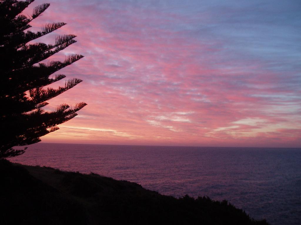 Sea Whispers Bed & Breakfast Kiama Exterior foto