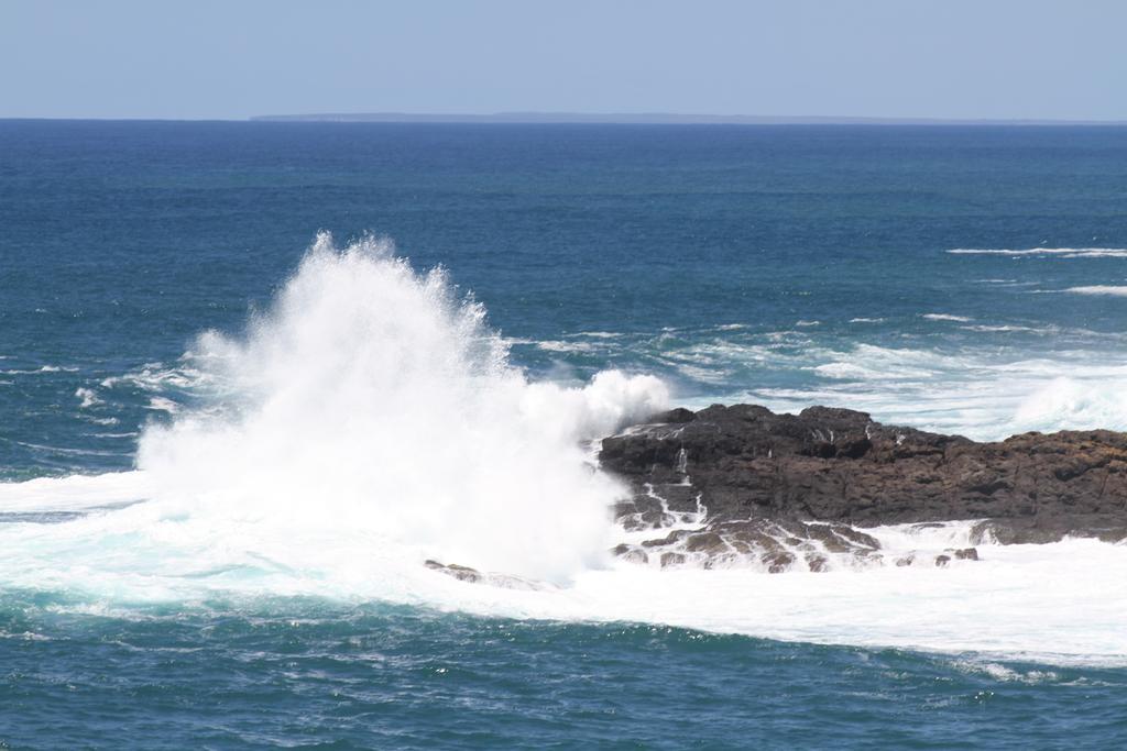Sea Whispers Bed & Breakfast Kiama Exterior foto