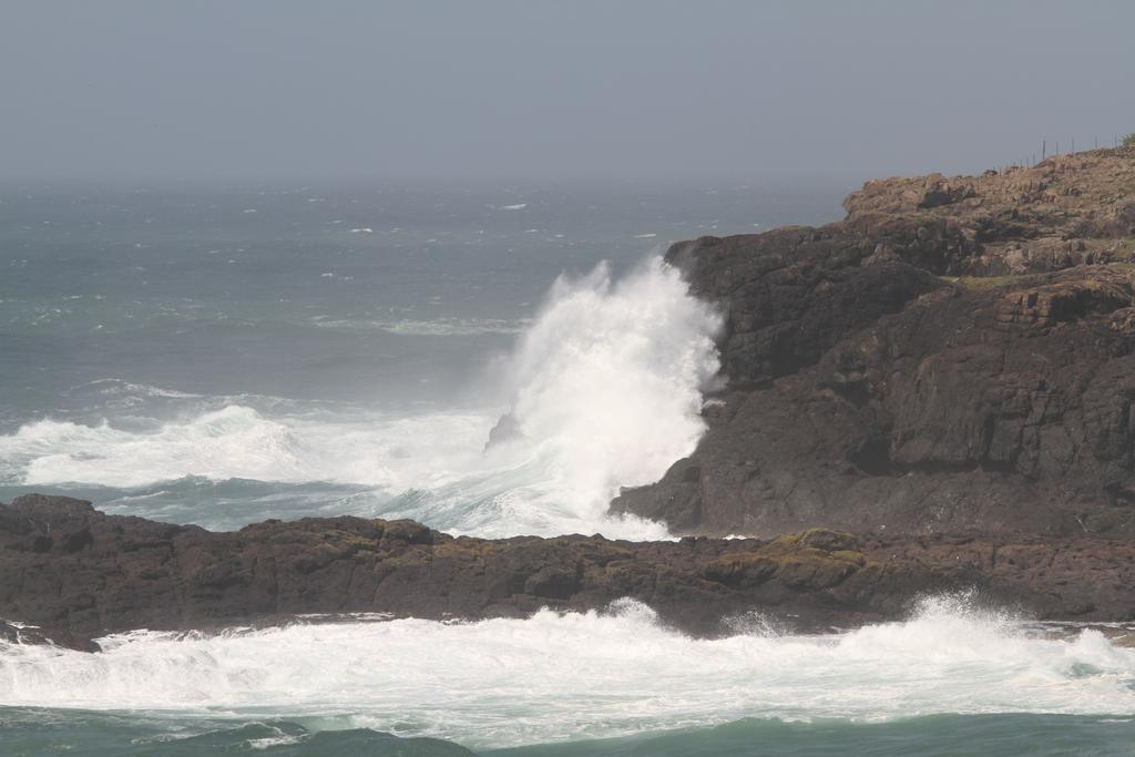Sea Whispers Bed & Breakfast Kiama Exterior foto