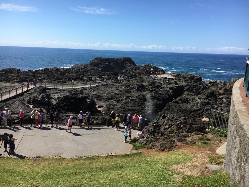 Sea Whispers Bed & Breakfast Kiama Exterior foto